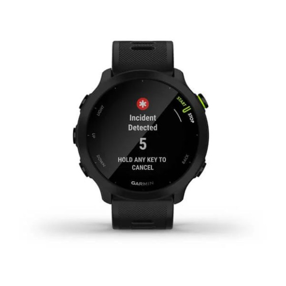 Умные часы Garmin Forerunner 55 Black